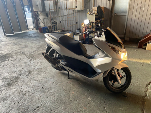 人気のpcx 白