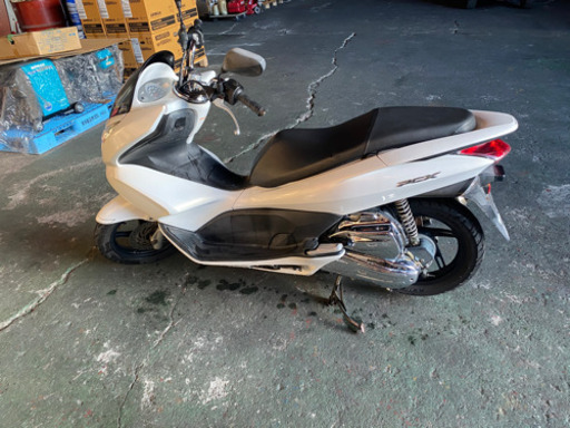 人気のpcx 白