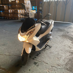 人気のpcx 白