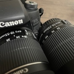 綺麗！一眼レフ Canon EOS 8000Dダブルズームキット