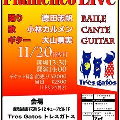Flamenco Live