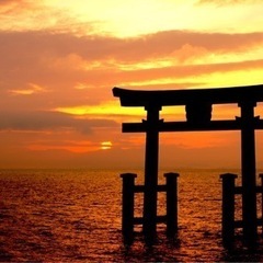 🌈🌸綺麗な景色を見に行こう🌸🌈
