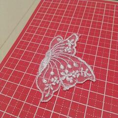 蝶々刺繍レース 12枚セットの画像