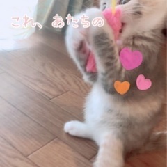 40代子なし主婦😍 - 友達