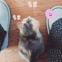 40代子なし主婦😍 - メンバー募集