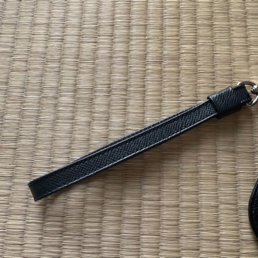ルイヴィトン　セカンドバッグ　タイガー
