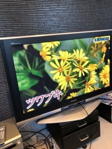 早いもの勝ち　50インチテレビ