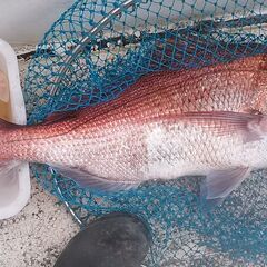 根がかり解消装置を内蔵したヨットボート釣り目的の錨　③の画像