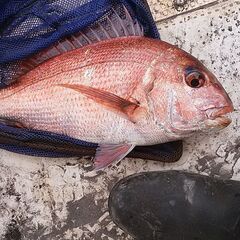 根がかり解消装置を内蔵したヨットやボートに適した釣り目的の錨　⑤の画像