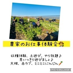 まだまだ空きあります😊【11月14日分】農家のお仕事体験会　収穫...
