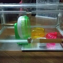 訳ありハムスターグラスハーモニー450