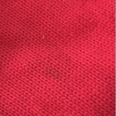 PORO Ralph Laurenニットの画像