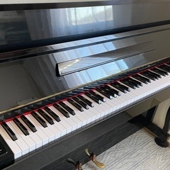 COLUMBIA エレピアン (引き取り先が見つかりました)の画像