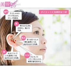 耳つぼダイエット・痩身/スタート前のカウンセリング120分