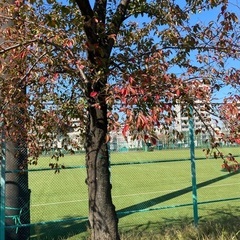 京都.大阪.趣味共有友グル作り✨の画像