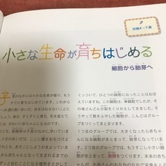 赤ちゃんの誕生に関する書籍　の画像