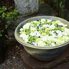 ☆１１月２０日（土）日本一の花手水埼玉県行田市希望の光ライトアップイベントと神社めぐり　循環バスと徒歩（約２キロ）　高崎線行田駅　１３時１５分　☆ - その他