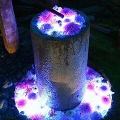☆１１月２０日（土）日本一の花手水埼玉県行田市希望の光ライトアップイベントと神社めぐり　循環バスと徒歩（約２キロ）　高崎線行田駅　１３時１５分　☆ − 埼玉県