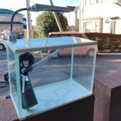 30センチ　スリム　水槽　セット