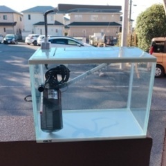 30センチ　スリム　水槽　セットの画像