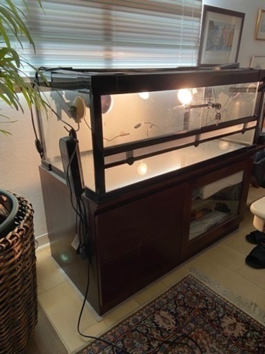 リクガメ　ゲージ　飼育セット