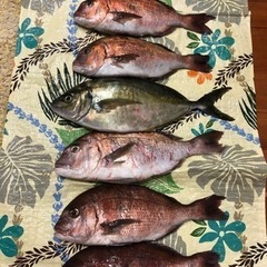 海釣りについて教えてほしいです。