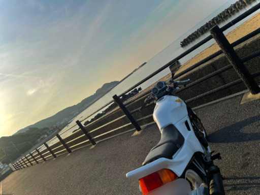 ホンダ VTZ250(MC15)