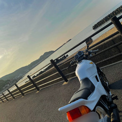 VTZ250(MC15)