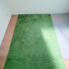 IKAE カーペット 中古 230cm X 160cmの画像