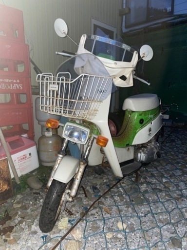 希少　スズキ　スワニー