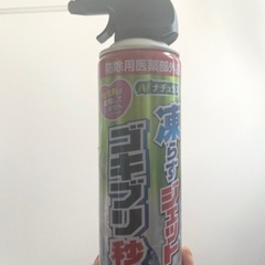 凍らすジェット ゴキブリ駆除スプレー