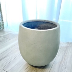 テラニアスバルーン　10号鉢　カバー