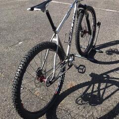 REDLINE レッドライン　MTB ベルトドライブ　19インチ...