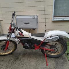 ty250YAMAHA