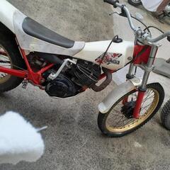 ty250YAMAHAの画像