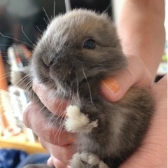 生後5ヶ月になります