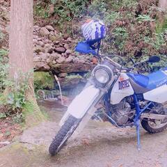 オフロードバイクで秘境、絶景をツーリング - 伊勢市