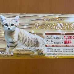 那須どうぶつ王国　プレミアムクーポン  入園料金大人半額 こども無料