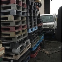 プラスチックパレット