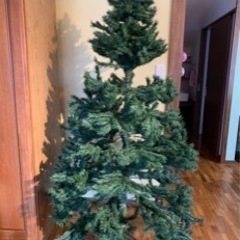 クリスマスツリー
