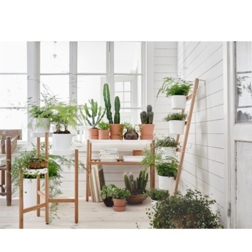 【新品】IKEA SATSUMAS サッツマス　プラントスタンド　78cm
