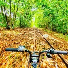 くまもと鉄道レールサイクルに興味ありませんか？？ - 熊本市