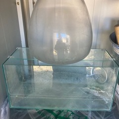 水槽の画像