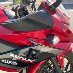 GSX250Rの画像