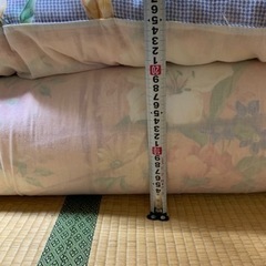 敷布団　あげますの画像