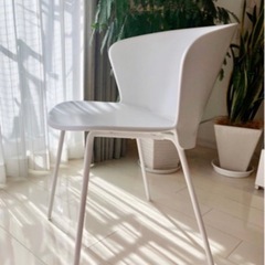 白椅子二脚 Calligaris (カリガリス) BAHIA(バヒア) ダイニングチェア