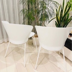 白椅子二脚 Calligaris (カリガリス) BAHIA(バヒア) ダイニングチェア