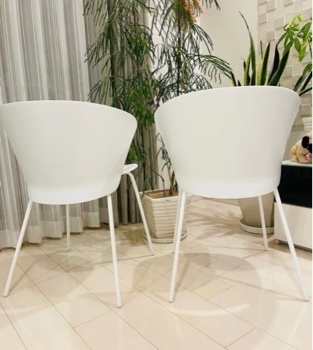白椅子二脚　Calligaris (カリガリス) BAHIA(バヒア) ダイニングチェア