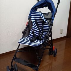 ボーダー柄バギー☆新品