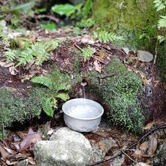 明日、11月14日★宝満山登山☆
